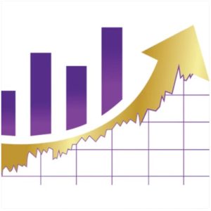 From Credit to Capital Mentorship